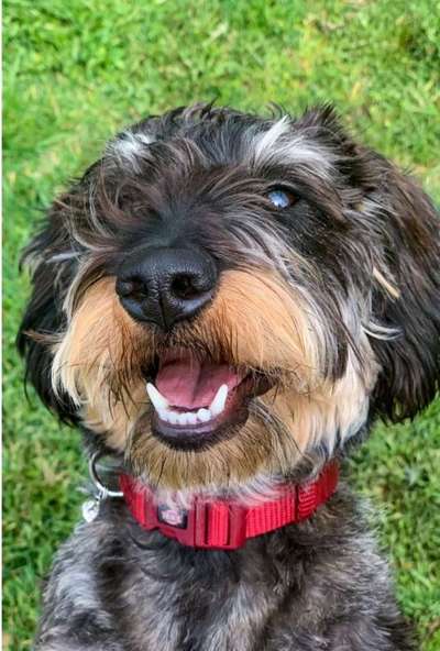 Fotochallenge Nr.122-Beitrag-Bild