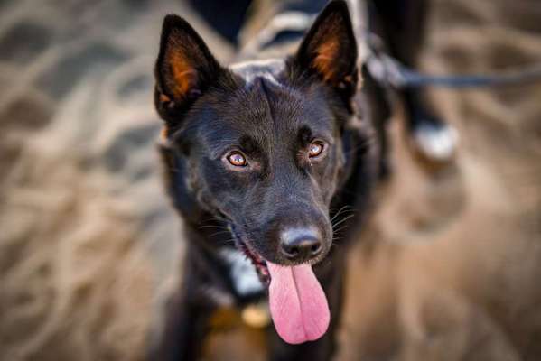 Zeigt eure Portraits-Beitrag-Bild