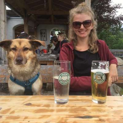 Hundetreffen-Hundefreundschaft zum gemeinsamen Spaziergang gesucht-Profilbild