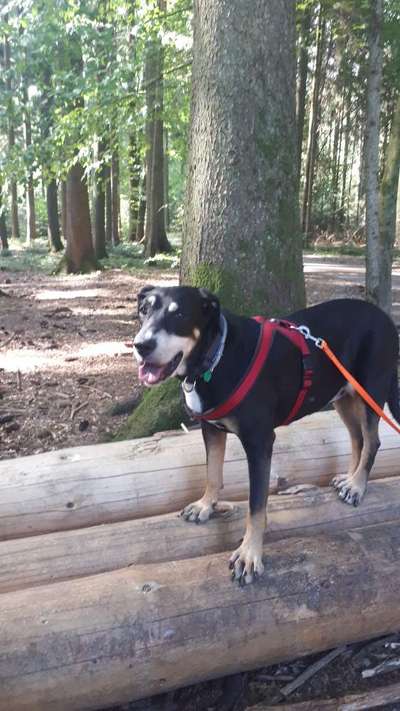 Doppelgänger gesucht !-Beitrag-Bild