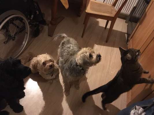 CHALLENGE Nr.17-Beitrag-Bild