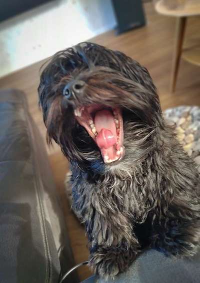 Handy-foto Challange nr. 11-Beitrag-Bild