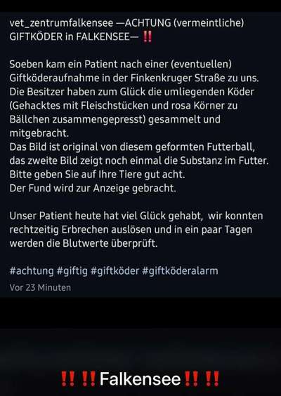 Giftköder-Giftköder Fleischbällchen-Bild