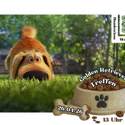 Hundetreffen-OffenesGolden Retriever Treffen-Bild