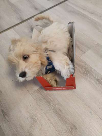 Her mit dem Grimassen-Beitrag-Bild