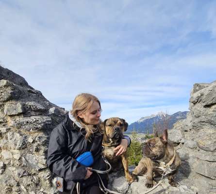 Hundetreffen-Gassirunde-Bild