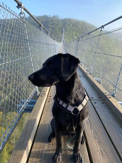 Foto Challenge Thema "Brücke"-Beitrag-Bild