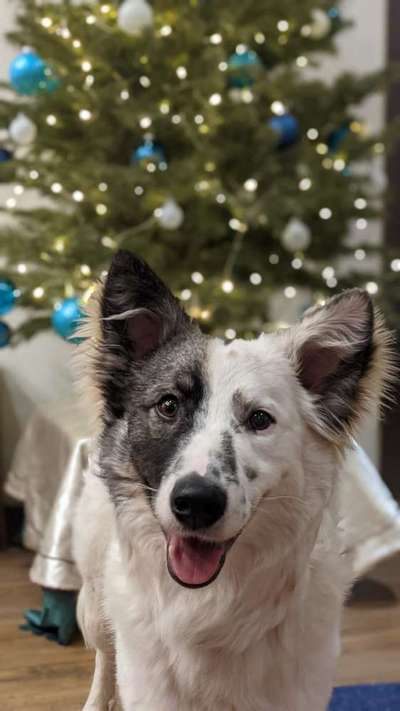 Lieblingsbild :D-Beitrag-Bild