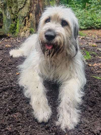 28. Handy-Fotochallenge - Damals und heute-Beitrag-Bild