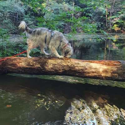 27. Handy Fotochallenge-Beitrag-Bild