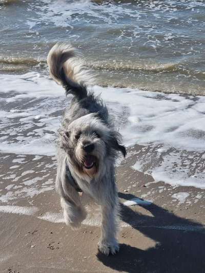 Lieblingsbild-Beitrag-Bild