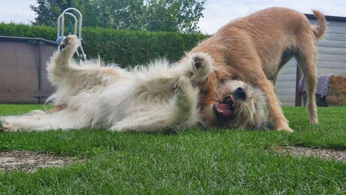 18. Handy - Foto - Challenge-Beitrag-Bild