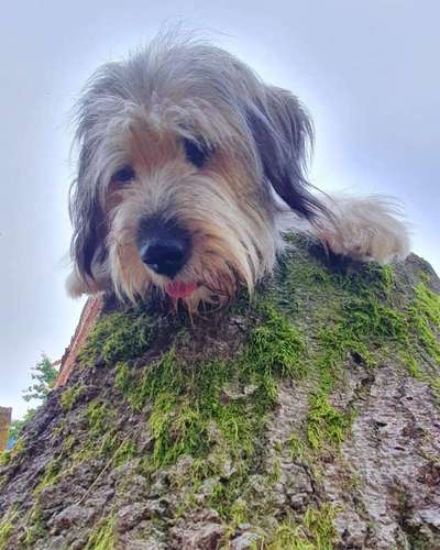 23. Handy Foto-Challenge-Beitrag-Bild