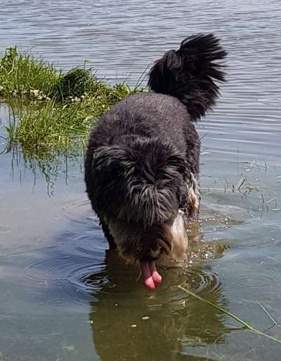 35. Handy Foto Challenge - Das nasse Element-Beitrag-Bild