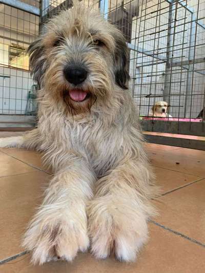 28. Handy-Fotochallenge - Damals und heute-Beitrag-Bild