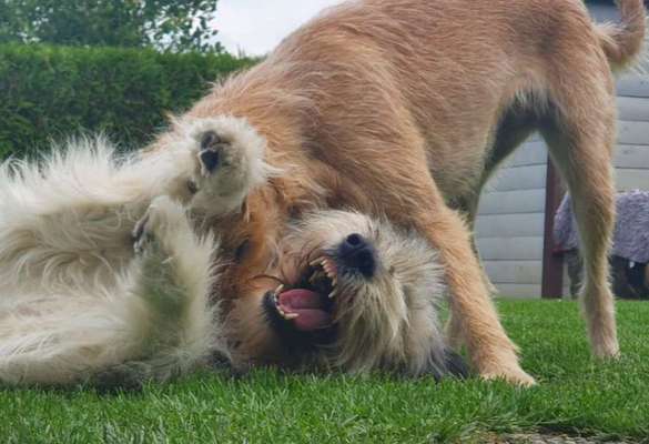 26. Handy Foto Challenge-Beitrag-Bild