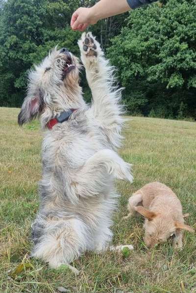 25. Handy Foto Challenge-Beitrag-Bild