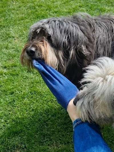 25. Handy Foto Challenge-Beitrag-Bild