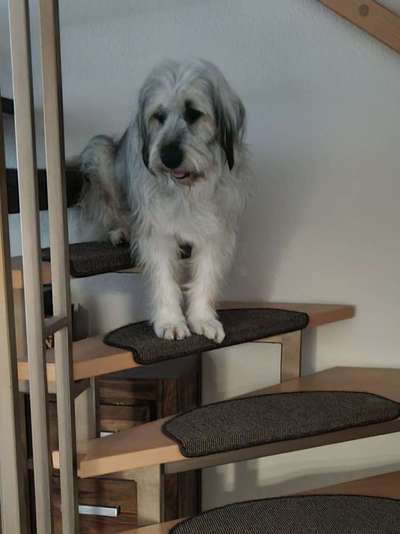 21. Handy-Foto-Challenge-Beitrag-Bild