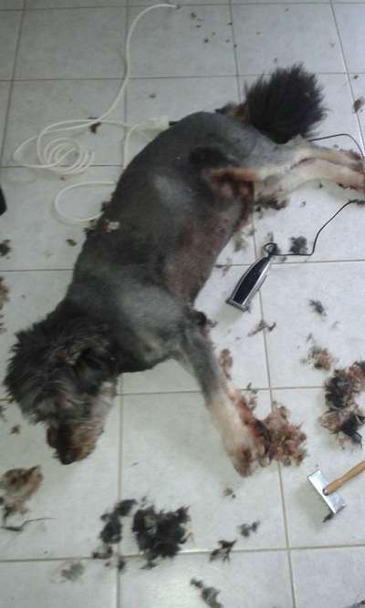 22. Handy Foto - Challenge-Beitrag-Bild