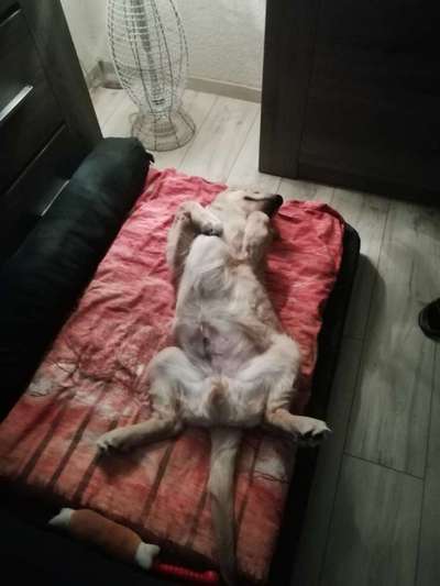 Die unbequemsten und lustigsten Schlafpositionen-Beitrag-Bild