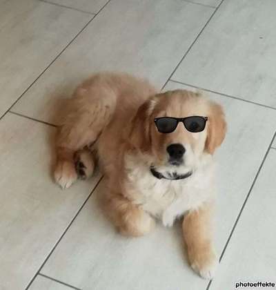 Hier ist der Spaßthread. Zum Schmunzeln und Kaputtlachen-Beitrag-Bild