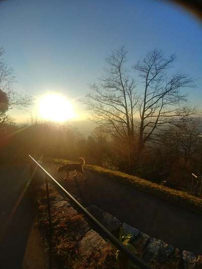 Fotochallenge Nr. 67: Euer Lieblingsbild-Beitrag-Bild