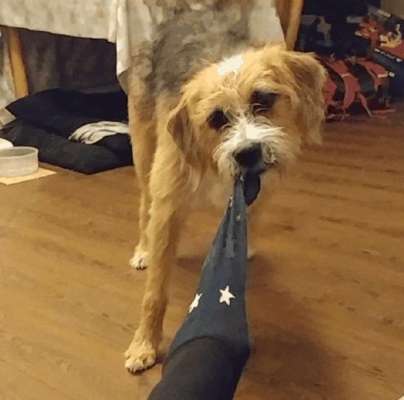 Fotochallange 84-Beitrag-Bild