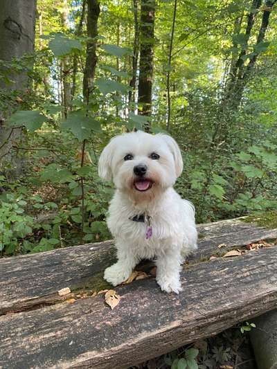 Doppelgänger gesucht !-Beitrag-Bild