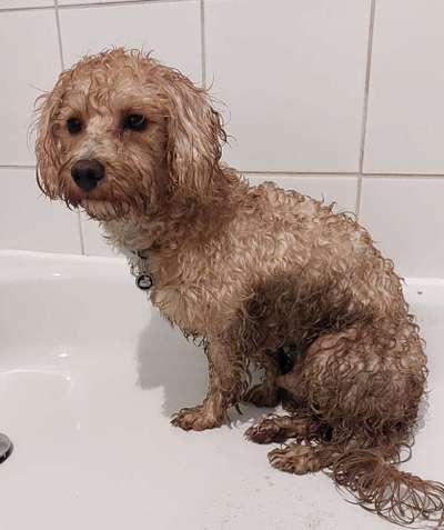 Was hat euch heute genervt?-Beitrag-Bild