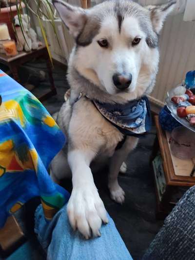 Lieblingsbild-Beitrag-Bild