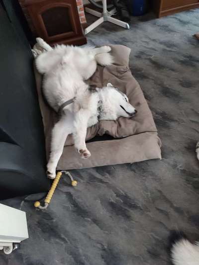 Foto Challenge Nr. 134-Beitrag-Bild