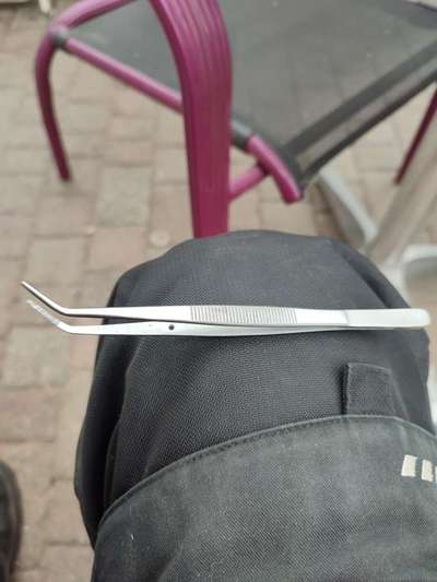 Zecke an der Lefze, wie entfernt ihr sie?-Beitrag-Bild