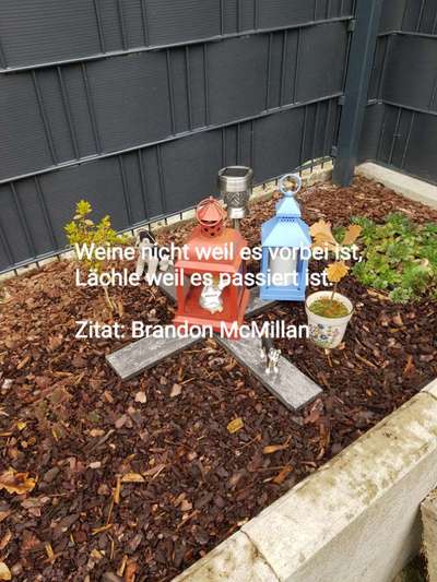 Schmerz-Beitrag-Bild