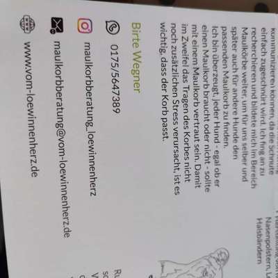 Eicheln-Beitrag-Bild