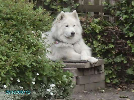 Lieblingsbild-Beitrag-Bild