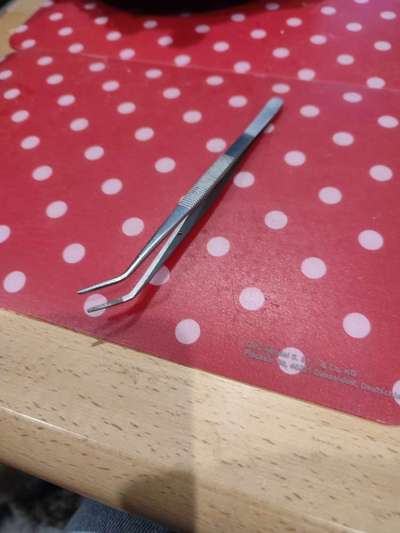 Empfehlung für eine Zeckenzange/ Zeckenentfernungstool-Beitrag-Bild