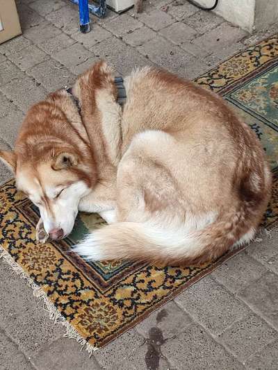 Foto Challenge Nr. 134-Beitrag-Bild