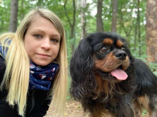 Gibt es hier auch Cavalier King Charles Spaniel Besitzer?-Beitrag-Bild