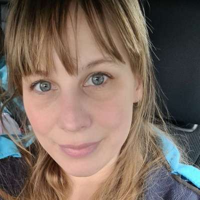 Hundetreffen-Treffen zum Spielen und Gassi