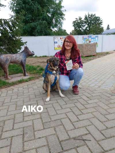 Das erste Foto-Beitrag-Bild