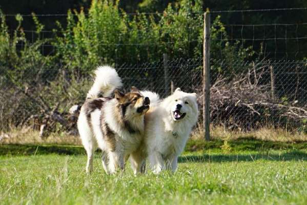 FOTO CHALLENGE Thema ,,durchdrehen"-Beitrag-Bild