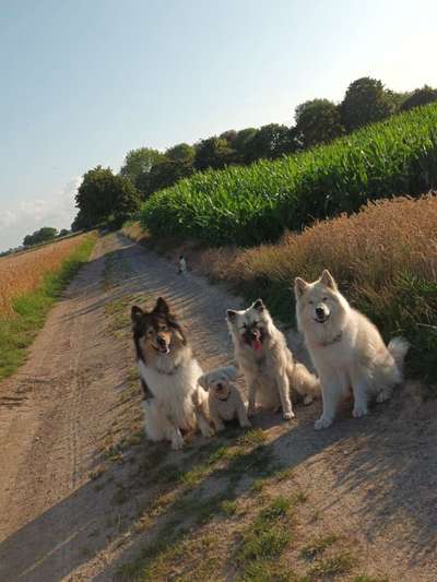 154. FotoChallenge * AUFS BILD GEMOGELT *-Beitrag-Bild