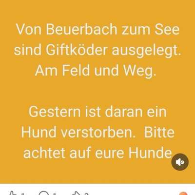 Giftköder-Giftköder Hünstetten-Bild
