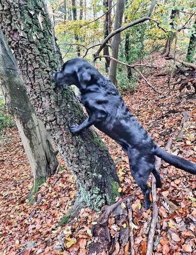 Fotowettbewerb Natur-Beitrag-Bild
