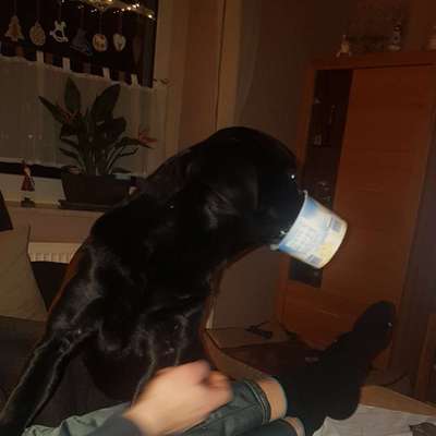 63. Handyfotochallenge   * Nase dran ! *-Beitrag-Bild