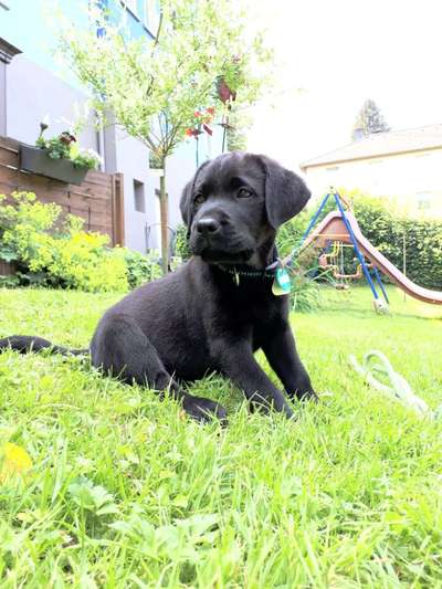 Foto Challenge 3-Beitrag-Bild