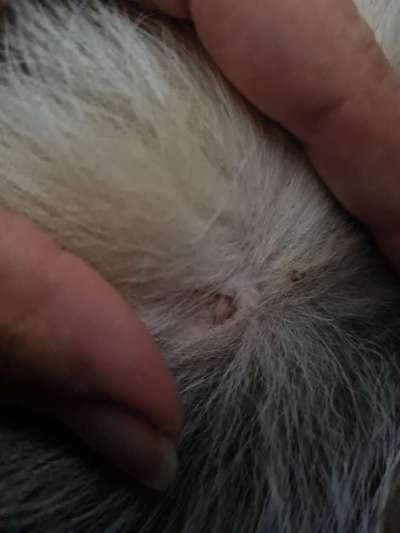 Weiß jemand was das ist?-Beitrag-Bild