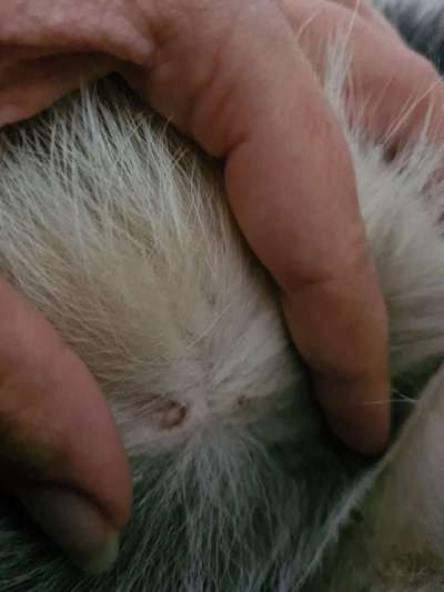 Weiß jemand was das ist?-Beitrag-Bild