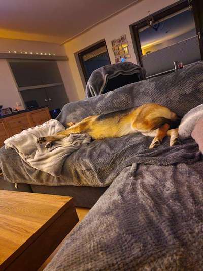 Verrückte Schlafpositionen-Beitrag-Bild